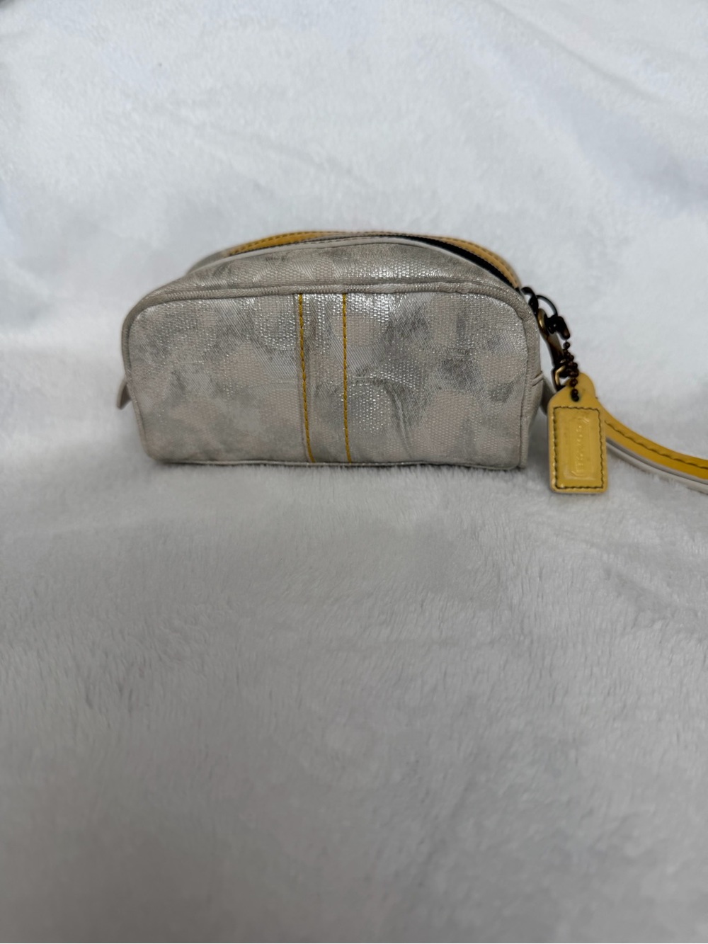 Coach Y2K Signature Metallic Cosmetic Pouch